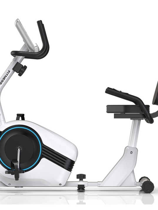 Recumbent Bike (Exercise)