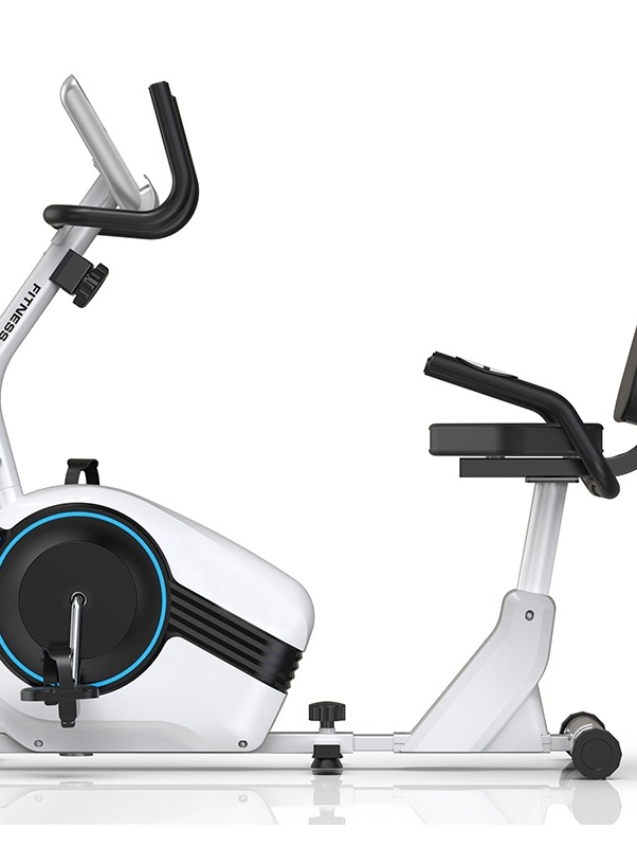 Recumbent Bike (Exercise)