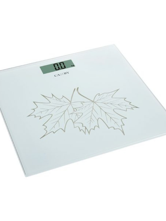 Electronic Personal Weight Scale