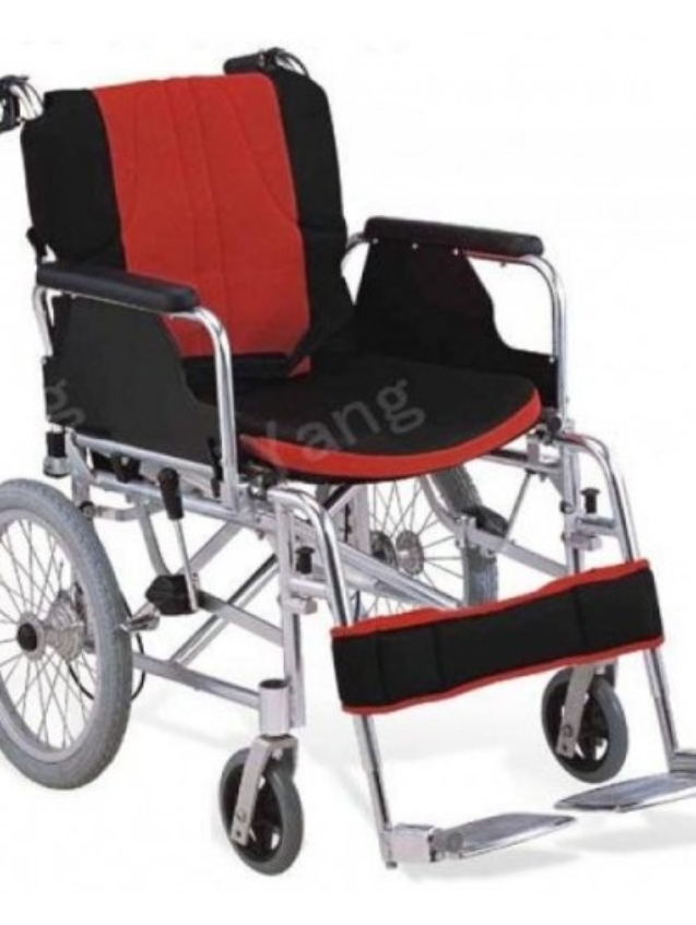 WHEEL CHAIR TRANSPORT