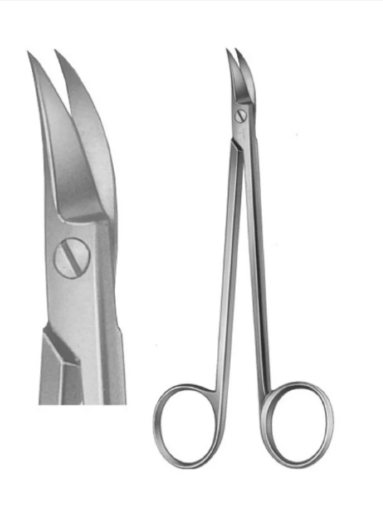 Dental Gum Scissors